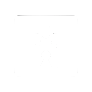 Asset